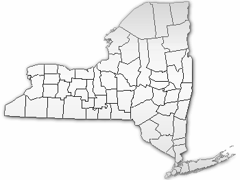 New York State County map